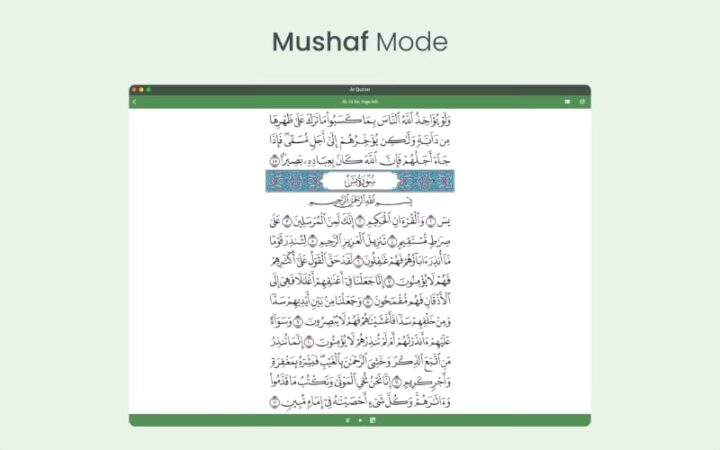 Al Quran (Tafsir & by Word) - Mushaf Mode
