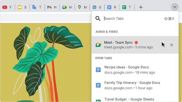 Search Tab